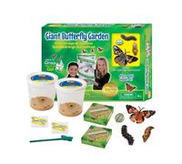 Kit d'élevage de papillons, modèle géant