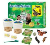 kit d'élevage de papillons, modèle géant G