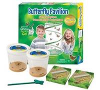 Kit d'élevage de papillons