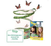 Kit d'élevage de papillons