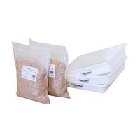 Kit d'élevage de vers de farine pour démarrer-INSECTADOM