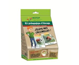 Kit d'élevage - J'élève mes coccinelles - Pédagogique - 2 espèces - 50 larves - Intérieur