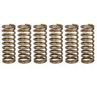 Jeu de ressorts d'embrayage TRW MEF341-6