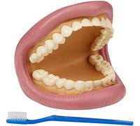 Kit Dentaire Dents Géantes Tickit