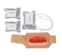 Kit d'entraînement portable for lacération de la cuisse, for hémostase, exercices de lacération, modèle en silicone, premiers secours for l'éducation et la démonstration