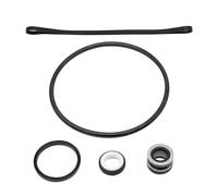 Kit d'entretien de pompes de piscine en acier inoxydable avec joint en caoutchouc SPX1600Z2 pour modèles SP3200EE SP3600