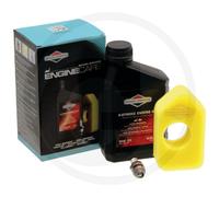 Kit D'Entretien Original Briggs & Stratton 450 550 600 Classic Sprint