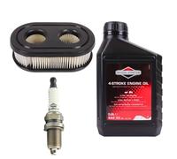 Kit d'entretien pour tondeuse BRIGGS&amp STRATTON huile 0,6L + bougie + filtre