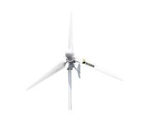 Kit d'éolienne Turbine éolienne horizontale 1000W, générateur à énergie gratuite, faible Rpm, haute efficacité, usage domestique, projet, bateau agricole(24V)