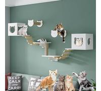 Kit d'escalade mural pour chat avec étagères durables et nid avec plateforme de saut et capsule d'espace pour chats d'intérieur