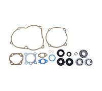 Kit d'étanchéité + bagues d'étanchéité + roulements pour Puch Maxi N S E50 moteur ancien modèle 3 roulements démarrage par inertie/kick