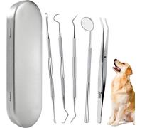 Kit Détartreu Dentaires Pour Chien Outil Oral En Acier Inoxydable Outil De Nettoyage Des Dents Pour Animaux Avec Étui 5 Pièces