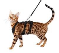 Kit d'évasion avec harnais et laisse harnais réfléchissant, adapté à la marche, réglable.