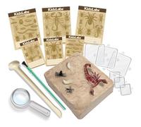 Kit D'excavation 4m Kidzlabs - Insectes