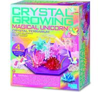 Kit d'expérimentation pour la culture de cristaux, terrarium avec licornes