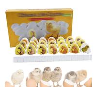 Kit d'exploration du Cycle de Vie du Poussin, 21 modèles de Croissance d'embryons de Poussin en Plastique, modèle Portable de développement d'embryons de Poulet, modèles éducatifs