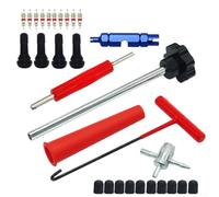 Kit d'extraction de tige de valve de pneu 30 pièces comprenant des outils de noyau de valve pour un remplacement rapide sur les voitures, VTT, motos, camions légers et équipements de pelouse (noir)