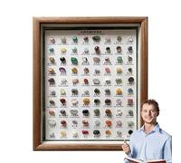 Kit d'identification des minéraux : lot de 80 échantillons de pierres précieuses, cadre d'affichage en bois brut | Kit éducatif d'étude pour apprendre la géologie