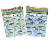 Kit d'identification des poissons de pêche (Atlantique et Pacifique) - Guide de référence rapide étanche | Portable et conçu pour durer | Double face et facile à lire