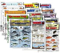 Kit d'identification des poissons d'eau salée - Guide de référence rapide étanche | Portable et conçu pour durer | Double face et facile à lire