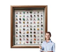 Kit D'identification Minérale - Collection De Minéraux Naturels, 100 Pierres Brutes Et Cristaux | Kit D'Identification Et Décoration Dans Cadre Bois Pour Salon, Entrée, Cadeau Pour Collectionneurs, H