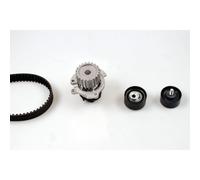 Kit distribution avec pompe à eau HEPU PK06252