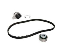 Ina Kit de distribution avec pompe à eau 530 0016 30