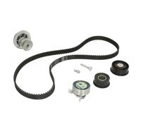 Kit distribution avec pompe à eau Schaeffler INA 530 0078 32