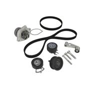 Kit distribution avec pompe à eau Schaeffler INA 530 0089 31