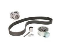 Ina Kit de distribution avec pompe à eau 530 0091 30