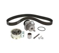 Ina Kit de distribution + pompe à eau 530 0091 31 pour Audi, VW, Seat, Skoda, Ford