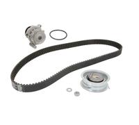 Ina Kit de distribution avec pompe à eau 530 0171 30