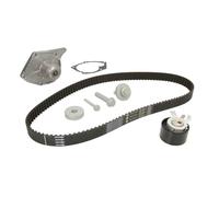 INA Kit de distribution + pompe à eau 530 0197 31 pour Renault Nissan Dacia