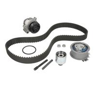 Kit distribution avec pompe à eau Schaeffler INA 530 0201 32