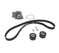 INA Pompe à eau + kit courroie de distribution 530 0234 30 pour CITROËN, FIAT 19 dents 30 mm
