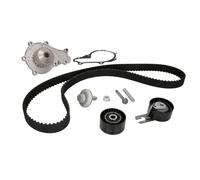 INA Kit de distribution + pompe à eau 530 0239 30 pour PEUGEOT, FORD, CITROËN