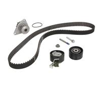 Ina Kit de distribution avec pompe à eau 530 0419 30