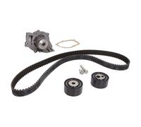 Ina Kit de distribution + pompe à eau 530 0447 30 pour Peugeot Citroën
