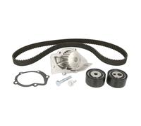Ina Kit de distribution avec pompe à eau 530 0474 30