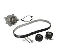 Ina Kit de distribution + pompe à eau 530 0489 30 pour Peugeot Citroën Lancia