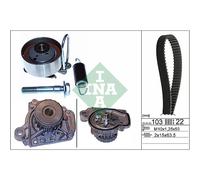 Ina - Kit de distribution avec pompe à eau 530 0505 31