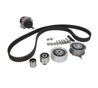 INA Kit de distribution et pompe à eau 530 0550 32 29,5 mm pour VW SEAT SKODA AUDI