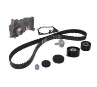 Kit distribution avec pompe à eau Schaeffler INA 530 0640 30