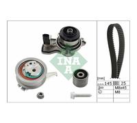 Kit distribution + pompe à eau INA 530 0665 30