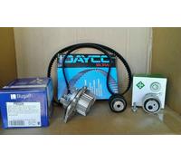 Kit de distribution + pompe à eau 530 0470 30 INA pour PEUGEOT CITROËN SUZUKI