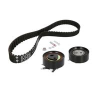 Kit distribution Schaeffler INA 530 0062 10