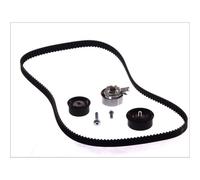 Kit distribution Schaeffler INA 530 0078 10
