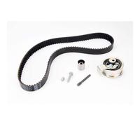 Ina – Kit de courroie de distribution 530 0091 10 pour Audi, VW, Skoda, Seat, Ford