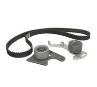INA Kit de courroie de distribution 530 0096 10 pour Citroën Peugeot Rover FSO