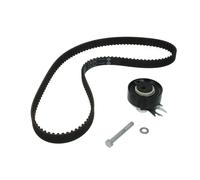 Kit distribution Schaeffler INA 530 0199 10
